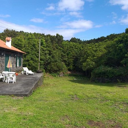 Azores Hibiscus House - Mountain And Sea เซารอกดูปิโก ภายนอก รูปภาพ
